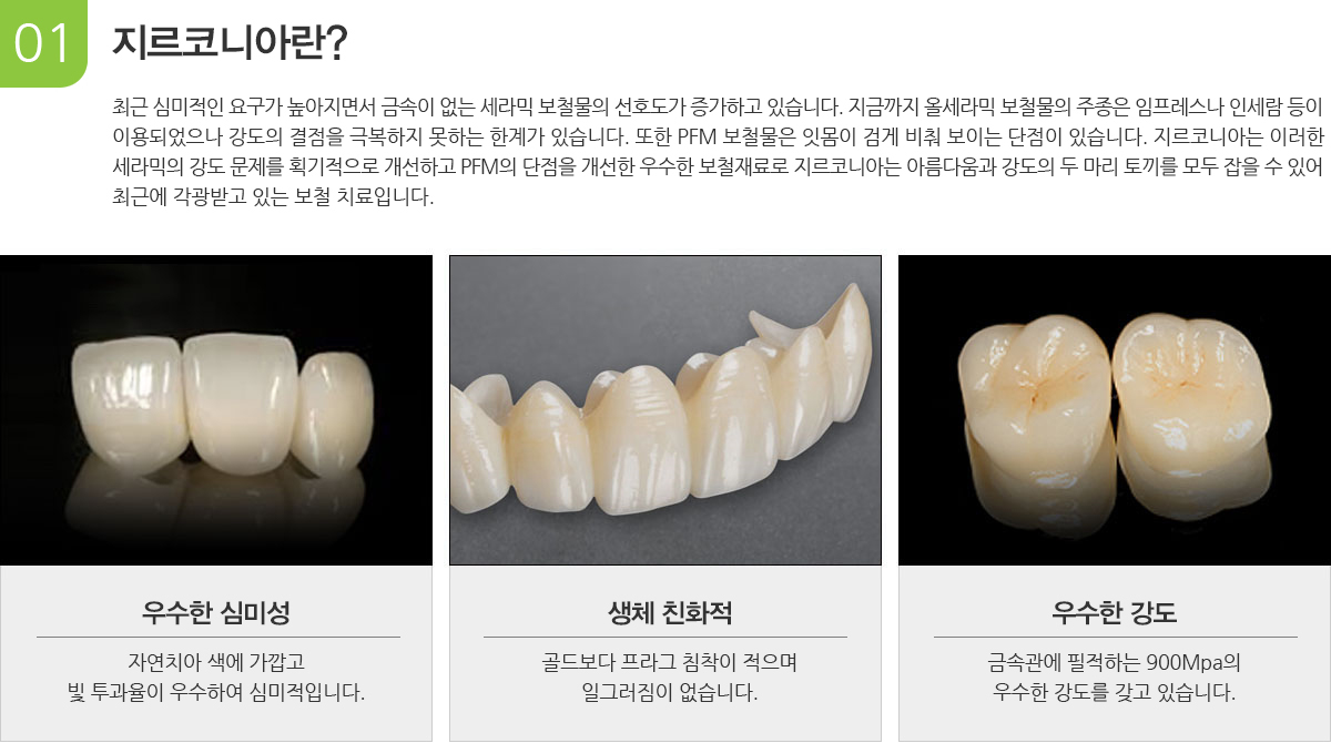 지르코니아란?